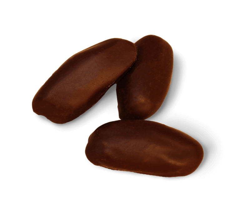 Datteln in Zartbitterschokolade Confiserie Dengel