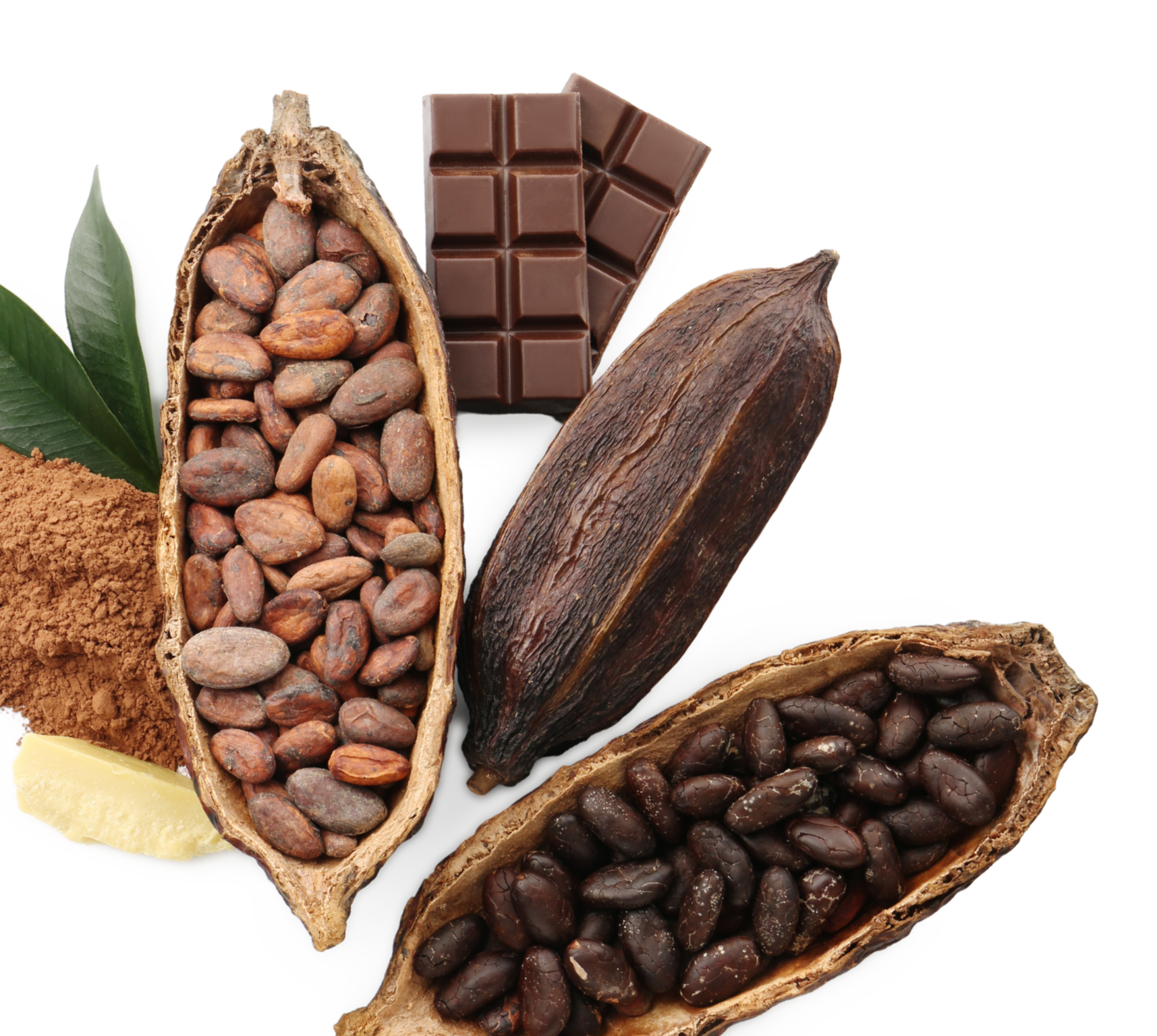 Kakao-bean to bar1